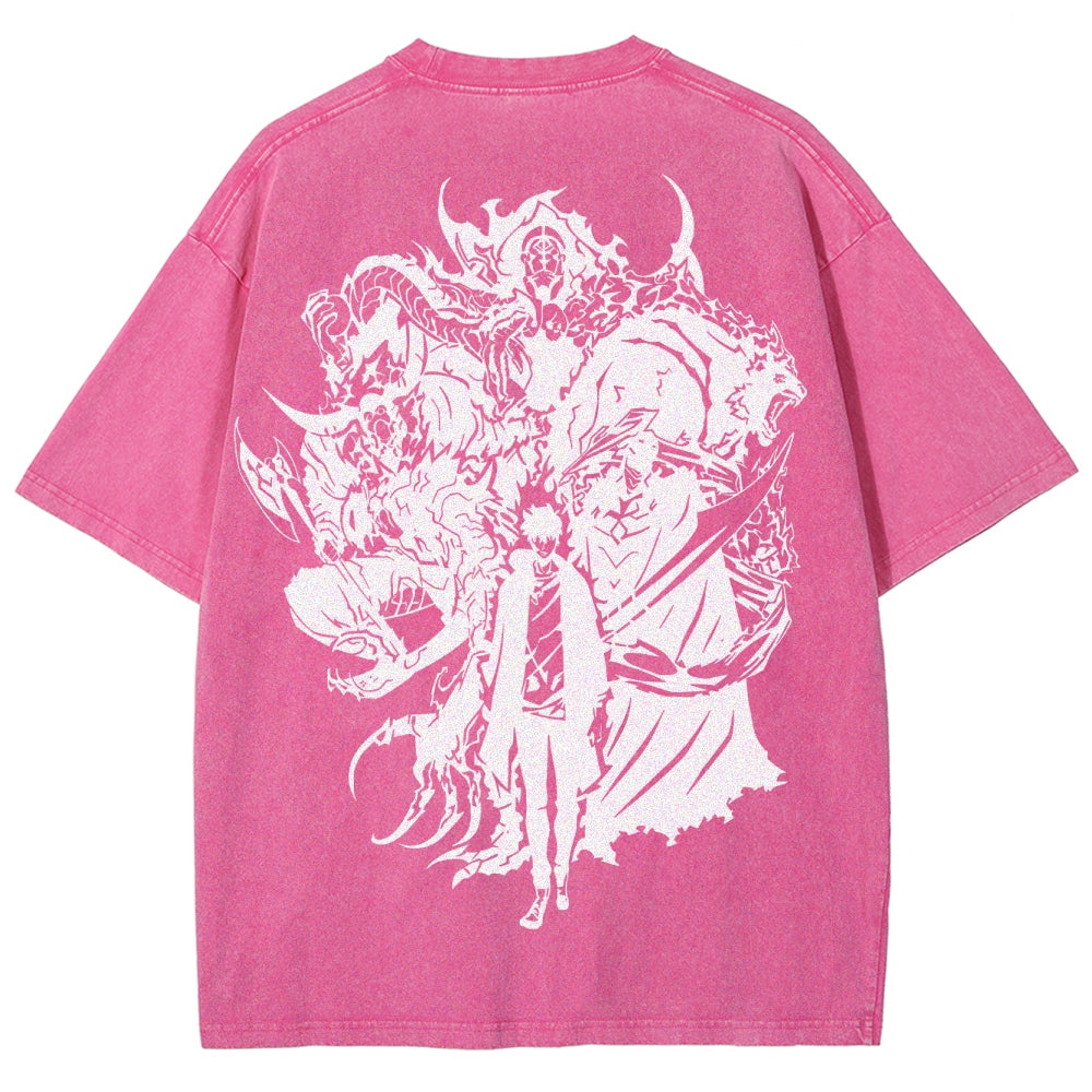 solo levelingUnisex Fit Washed T-Shirt 2502004720