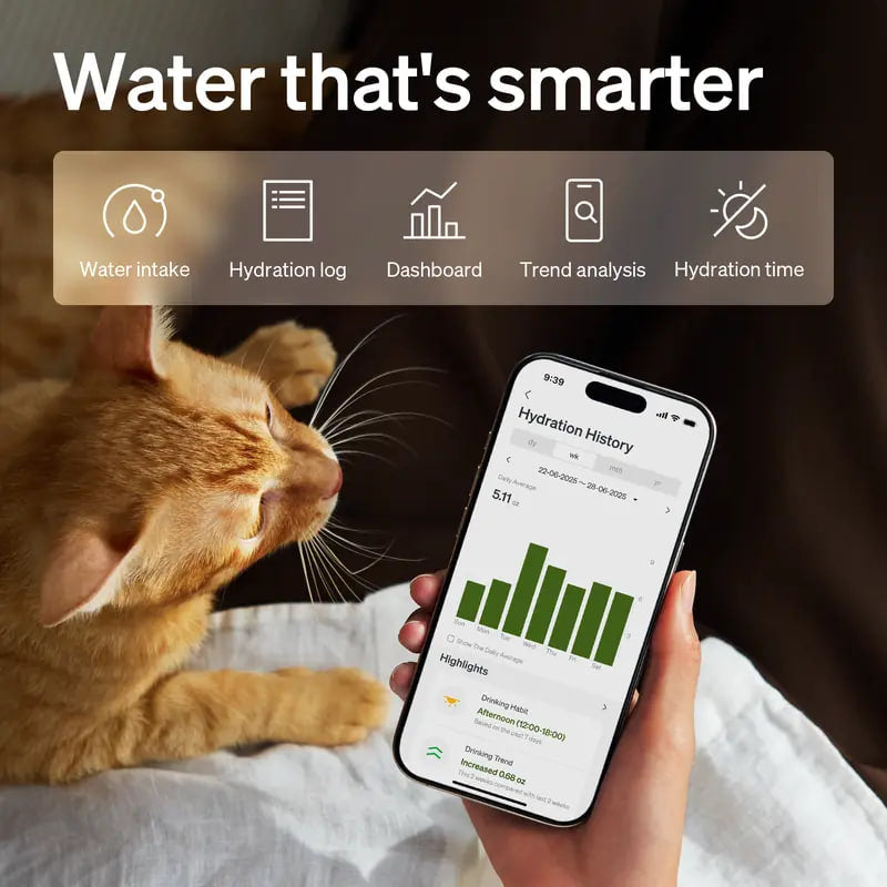 Smart Wireless Pet Water Fountain with App Alerts