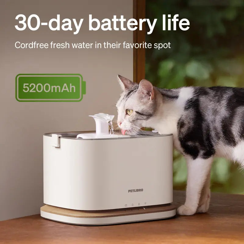 Smart Wireless Pet Water Fountain with App Alerts